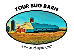 Your Bug Barn