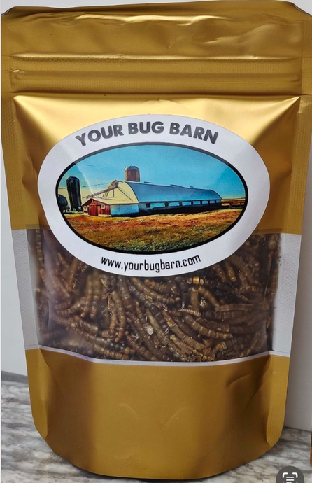 Image: Freeze-dried mealworms in a gold treat bag . Meta: Freeze-dried mealworms are a nutritious and sustainable protein source, rich in protein, vitamins, and minerals. . With a long shelf life and versatile usage, mealworms as a protein source for lizards, birds, chickens, fish and more.  from yourbugbarn.com