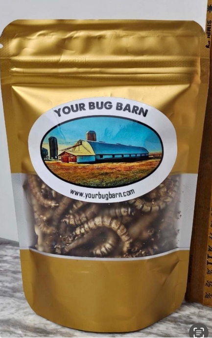 Freeze-dried super worms arranged in a gold treat bag - perfect for your lizard friends, back yard fish, chickens, pet birds or more,  Discover premium freeze-dried super worms packed with protein and nutrients. Sustainable and versatile, perfect for reptiles, birds, fish, or as a high-protein snack. Shop now for quality and convenience!